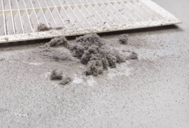 Best Best Air Duct Cleaning Company  in Boyce, LA