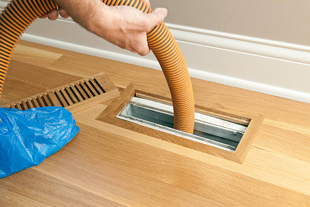 Best Local Air Duct Cleaning Services  in Boyce, LA