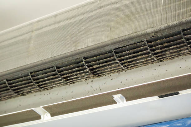 Best Best Air Duct Cleaning Company  in Boyce, LA
