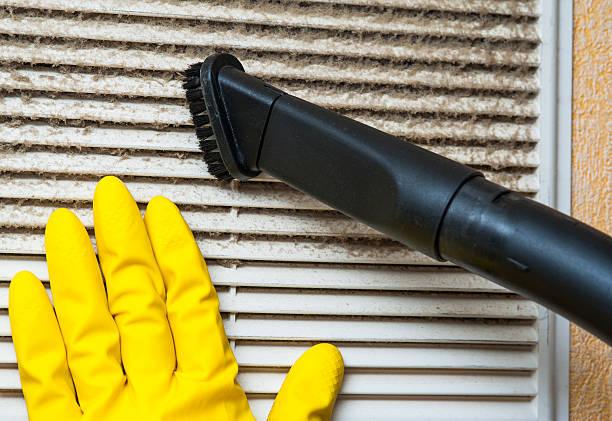 Best HVAC Air Duct Cleaning  in Boyce, LA